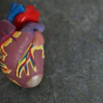 kapan harus ke dokter jantung