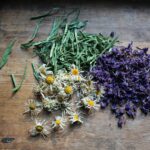 magic herbs cerispesial