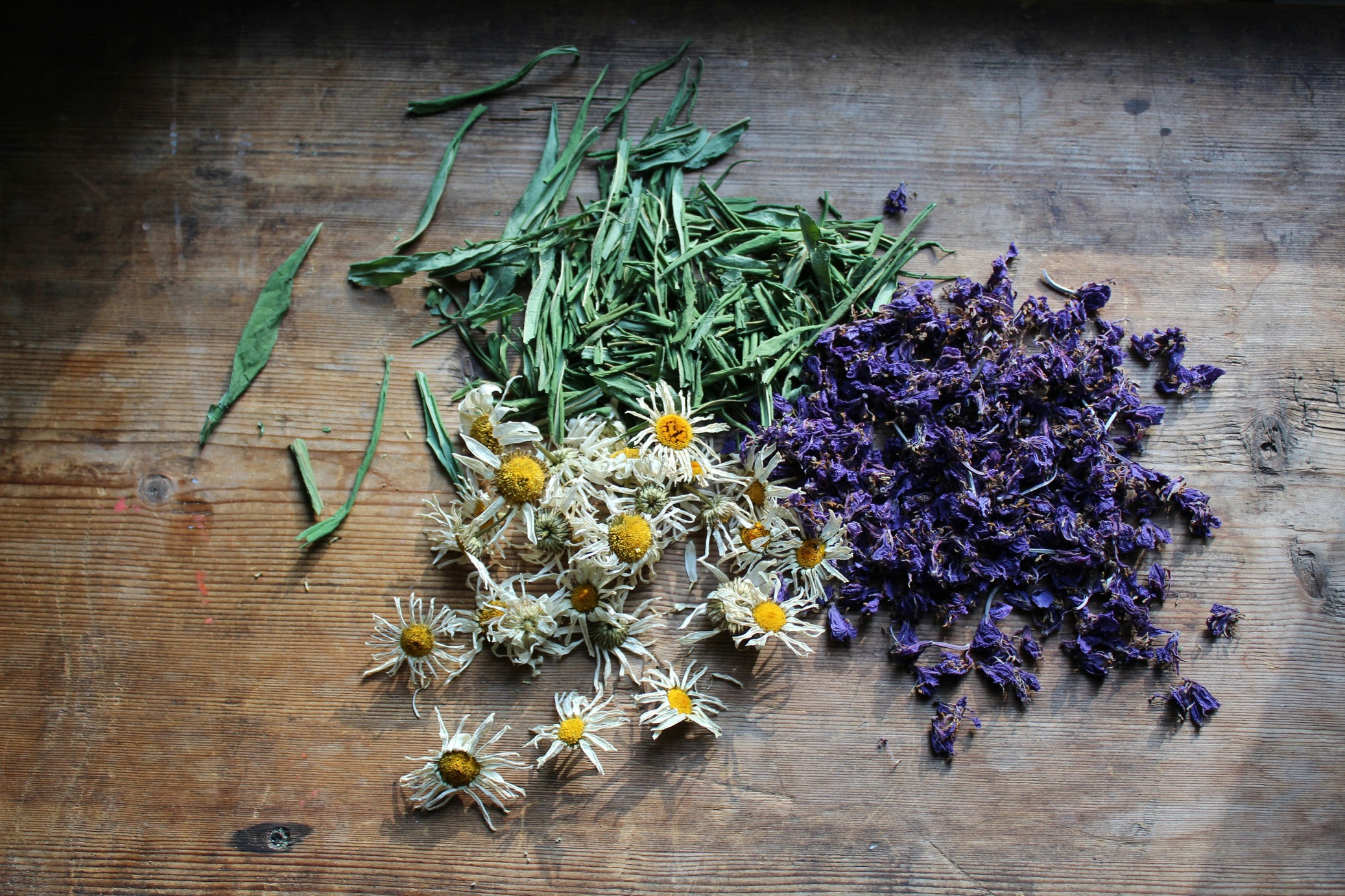 magic herbs cerispesial